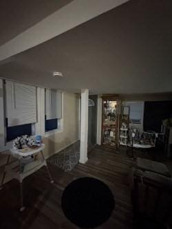 finished basement featuring wood finished floors