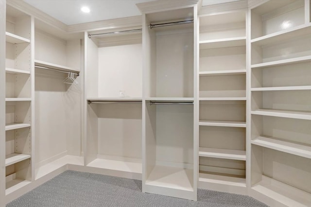 walk in closet featuring carpet