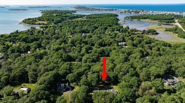 8 Evergreen Ln, Hingham, MA 02043 - bird's eye view of a large body of water and a heavily wooded area
