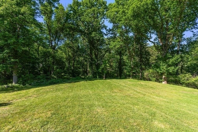 8 Evergreen Ln, Hingham, MA 02043 - view of grassy yard