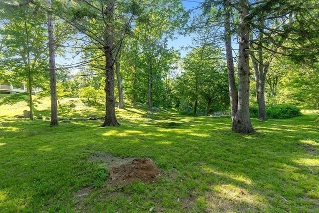 8 Evergreen Ln, Hingham, MA 02043 - view of grassy yard