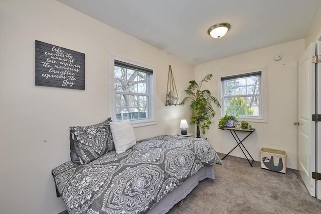 55 Friendship St, Billerica, MA 01821 - view of carpeted bedroom