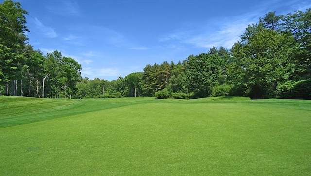 635 Old Post Rd Unit 204, Sharon, MA 02067 - view of home's community with golf course view and a lawn