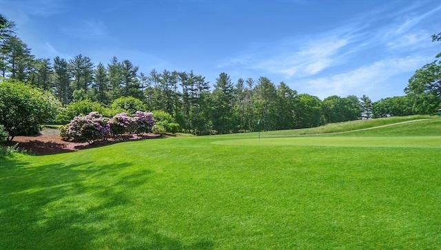635 Old Post Rd Unit 204, Sharon, MA 02067 - view of community with view of golf course and a lawn