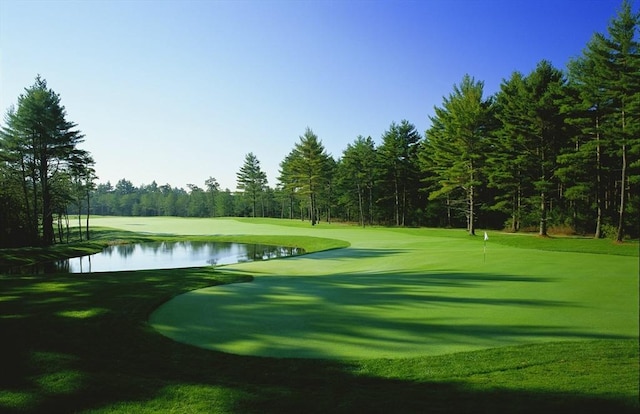 11 Alice Mullens Way Unit 11, Plymouth, MA 02360 - view of property's community featuring a water view, golf course view, and a putting area