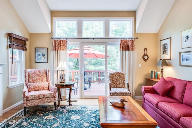 11 Alice Mullens Way Unit 11, Plymouth, MA 02360 - living area with wood finished floors, baseboards, plenty of natural light, and lofted ceiling
