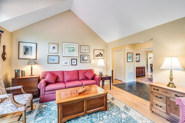 11 Alice Mullens Way Unit 11, Plymouth, MA 02360 - living room featuring light wood finished floors and high vaulted ceiling
