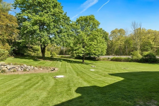 view of yard featuring view of golf course