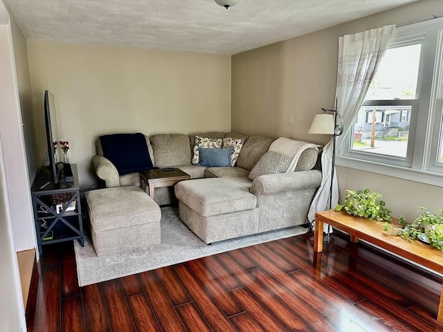 3 Centre St, Waltham, MA 02453 - living area featuring dark wood finished floors and a textured ceiling