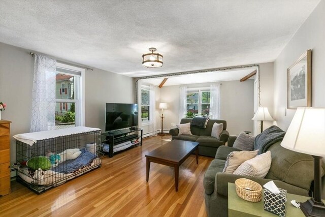 3 Centre St, Waltham, MA 02453 - living room featuring wood finished floors and a textured ceiling