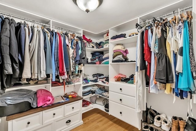 10 Ballard Ter, Lexington, MA 02420 - spacious closet with light wood finished floors