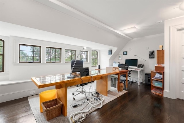 20 Birch Hill Rd, Newton, MA 02465 - office featuring dark wood-style floors and lofted ceiling