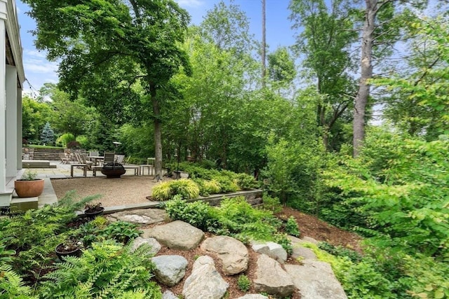 20 Birch Hill Rd, Newton, MA 02465 - view of yard featuring a patio