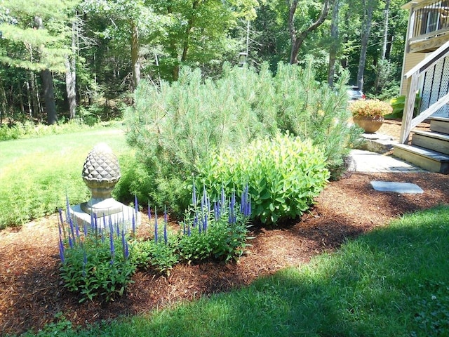 951 Dana Rd, Barre, MA 01005 - view of yard