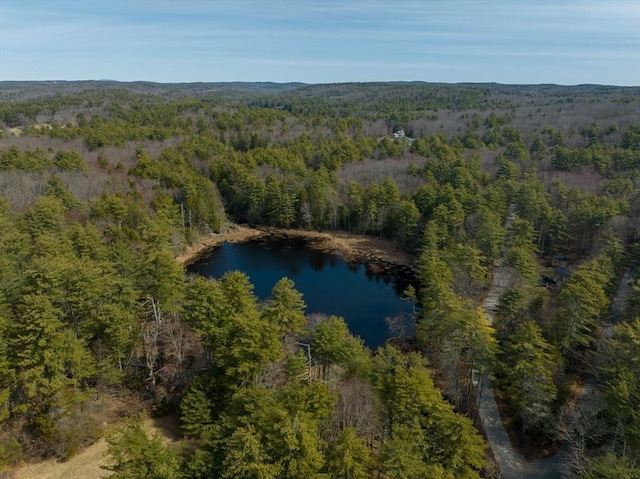 951 Dana Rd, Barre, MA 01005 - aerial view of property's location with a heavily wooded area and a large body of water