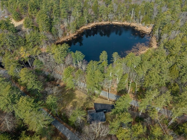 951 Dana Rd, Barre, MA 01005 - drone / aerial view of a heavily wooded area and a large body of water