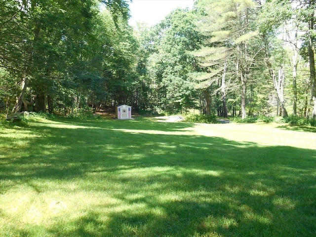 951 Dana Rd, Barre, MA 01005 - view of grassy yard with a forest view