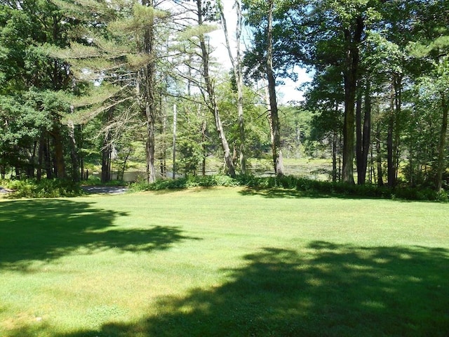 951 Dana Rd, Barre, MA 01005 - view of green lawn
