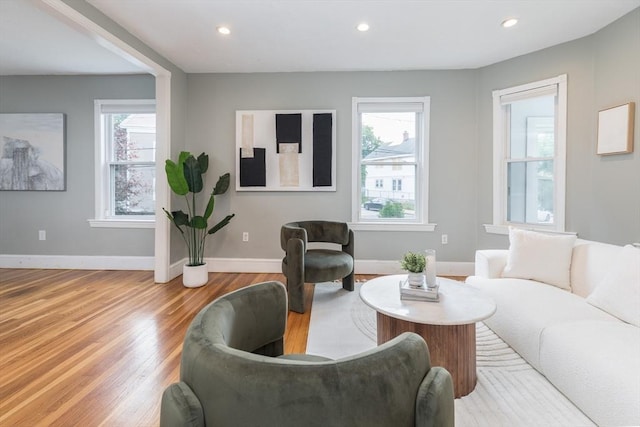 27 Round Hill St, Boston, MA 02130 - living area with plenty of natural light, light wood-style flooring, and recessed lighting