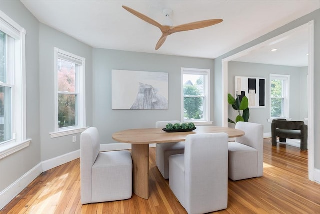 27 Round Hill St, Boston, MA 02130 - dining area with light wood finished floors and ceiling fan