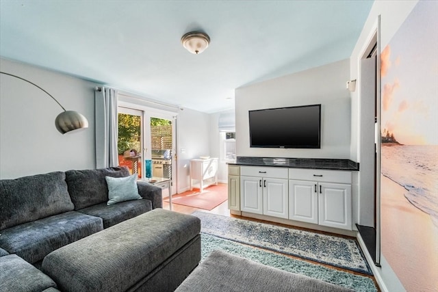 living room featuring light hardwood / wood-style flooring