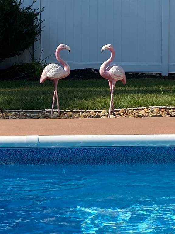 view of pool