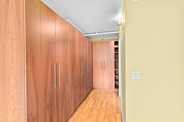 250 Hammond Pond Pkwy Unit 409S, Newton, MA 02467 - walk in closet with light wood-style flooring