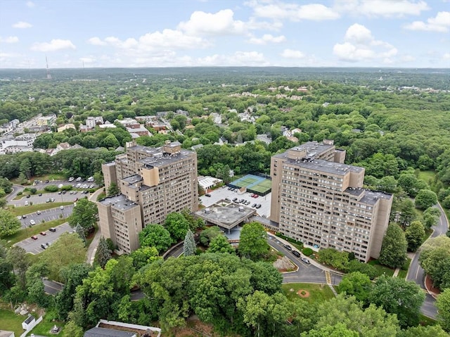 250 Hammond Pond Pkwy Unit 409S, Newton, MA 02467 - bird's eye view of a forest
