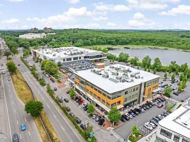 250 Hammond Pond Pkwy Unit 409S, Newton, MA 02467 - aerial view of a nearby body of water and a forest