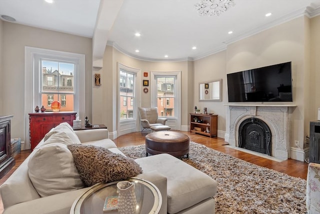 38 Concord Sq Unit 2, Boston, MA 02118 - living area with a fireplace with flush hearth, crown molding, wood finished floors, and recessed lighting