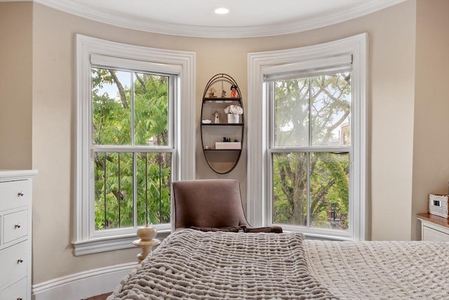 38 Concord Sq Unit 2, Boston, MA 02118 - bedroom with ornamental molding and multiple windows