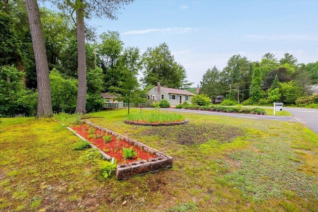 61 Mattawa Cir, Orange, MA 01364 - view of grassy yard