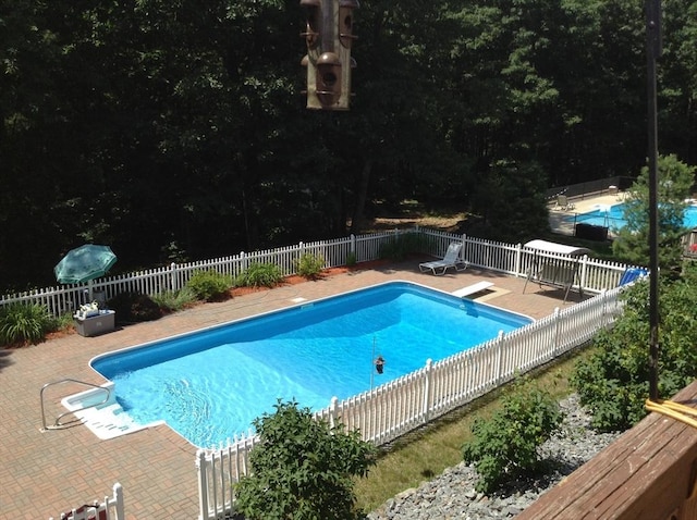 71 Johnny Appleseed Ln, Leominster, MA 01453 - view of pool featuring a fenced backyard, a patio, and a diving board