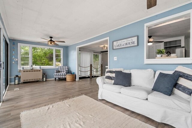 11 Hamilton Dr, Holland, MA 01521 - living room featuring radiator, a ceiling fan, wood finished floors, ornamental molding, and baseboards