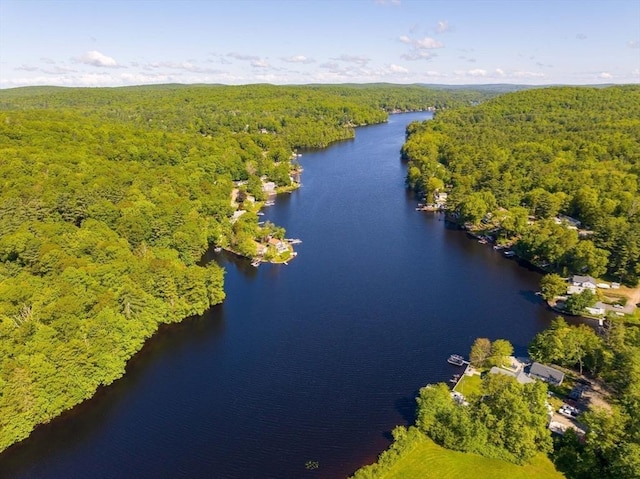 11 Hamilton Dr, Holland, MA 01521 - drone / aerial view of a heavily wooded area and a nearby body of water
