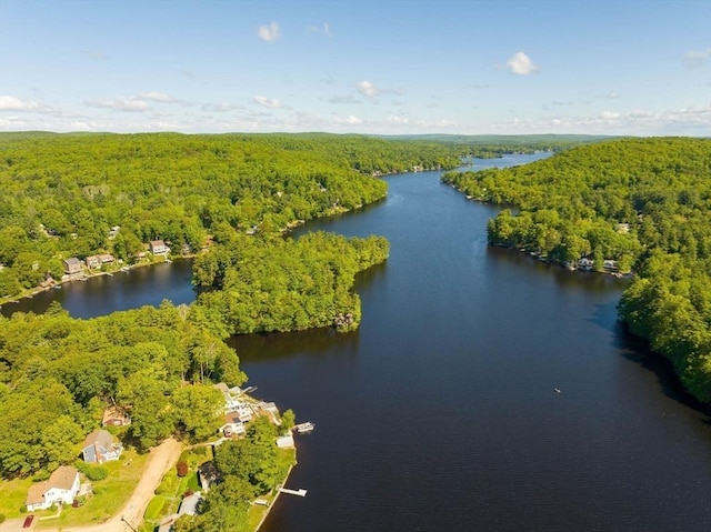 11 Hamilton Dr, Holland, MA 01521 - bird's eye view of a heavily wooded area and a large body of water