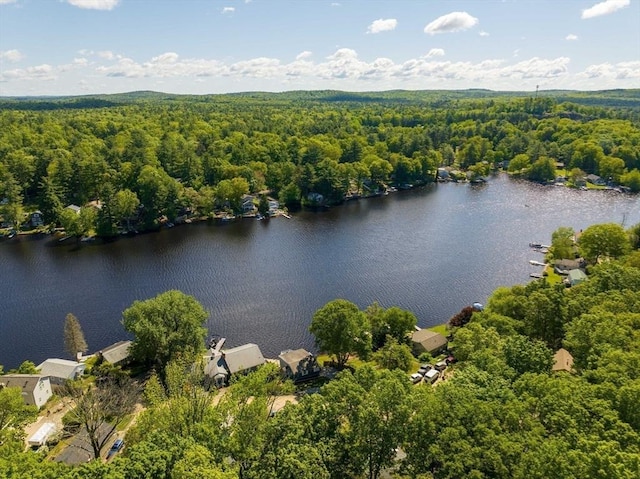 11 Hamilton Dr, Holland, MA 01521 - drone / aerial view of a forest and a nearby body of water