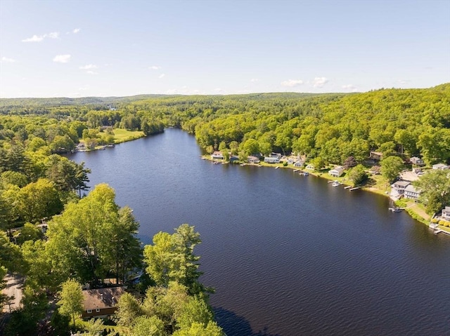11 Hamilton Dr, Holland, MA 01521 - bird's eye view of a forest and a nearby body of water