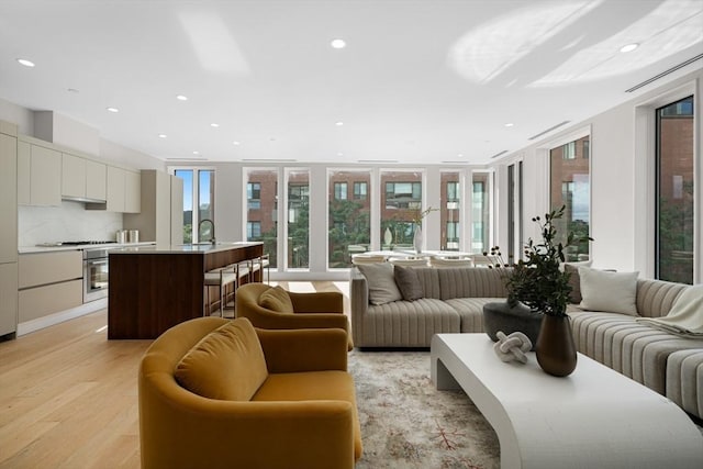 living room with light hardwood / wood-style flooring and sink