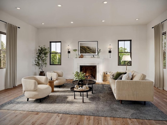 living room featuring light hardwood / wood-style flooring