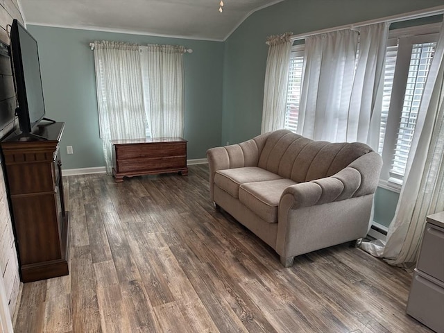 10 Marilyn Dr, Auburn, MA 01501 - living area featuring lofted ceiling, wood finished floors, ornamental molding, and a baseboard radiator