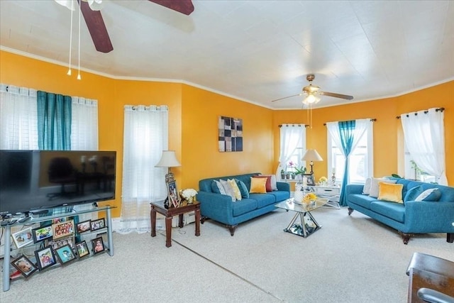 carpeted living area with ceiling fan and ornamental molding