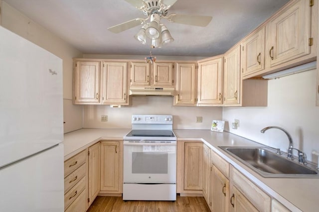 kitchen featuring a ceiling fan, light brown cabinets, white appliances, under cabinet range hood, and a sink