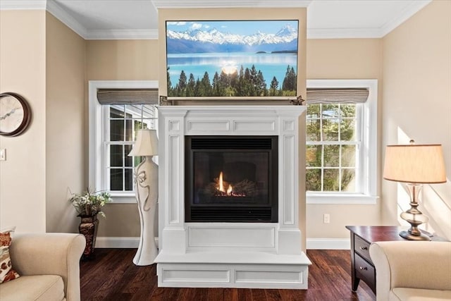 living area featuring dark hardwood / wood-style flooring and crown molding