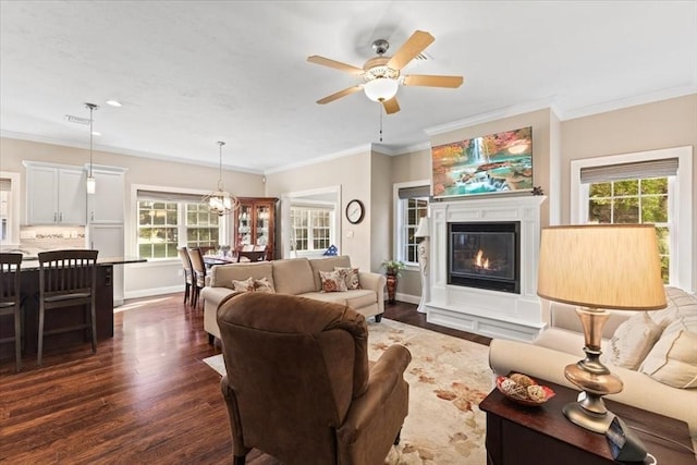 living room with dark wood-type flooring, ornamental molding, and ceiling fan with notable chandelier