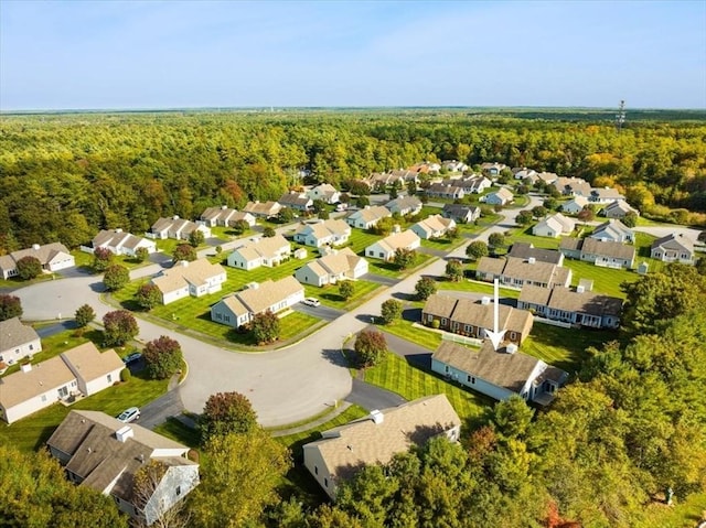 bird's eye view