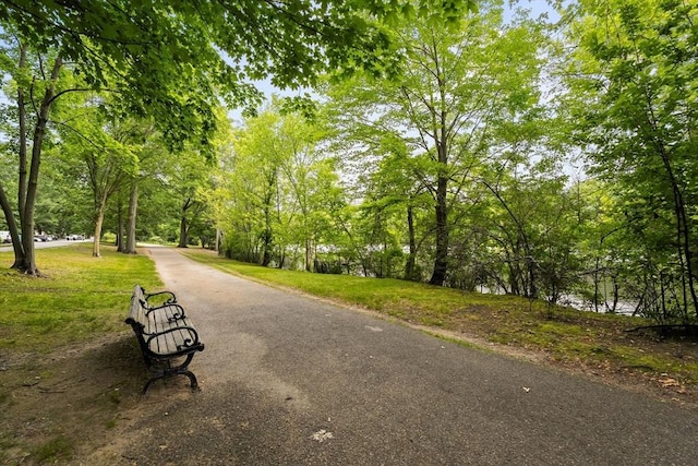 99 Pond Ave Unit 220, Brookline, MA 02445 - view of community