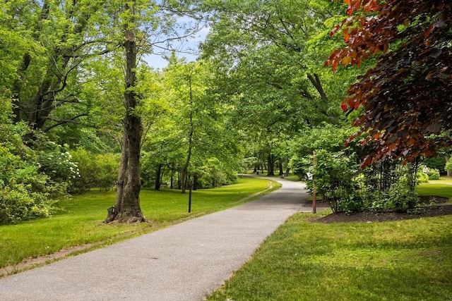 99 Pond Ave Unit 220, Brookline, MA 02445 - view of property's community with a yard