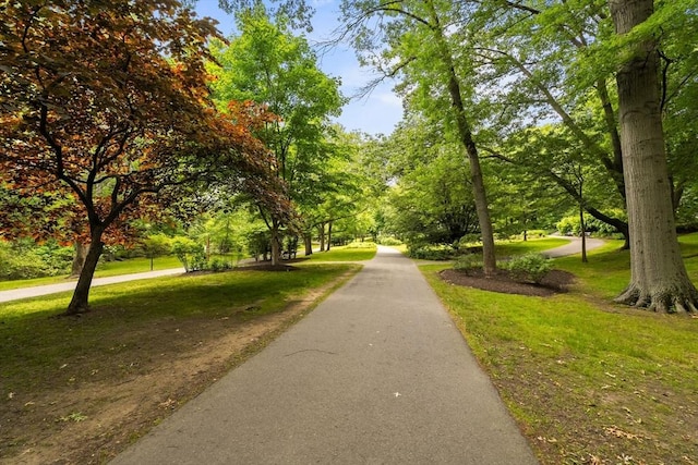 99 Pond Ave Unit 220, Brookline, MA 02445 - view of community featuring a lawn