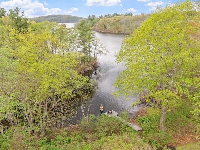 894 Great Pond Rd, North Andover, MA 01845 - water view with a forest